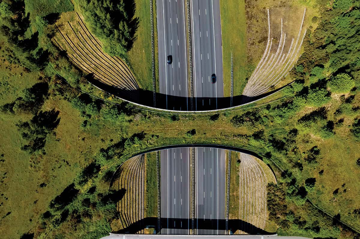 Hình chụp trên không hai tuyến đường cao tốc song song, được ngăn cách bởi một cầu vượt xanh cho động vật hoang dã, thể hiện tầm nhìn về hạ tầng đường bộ hiện đại với các phương tiện lưu thông ngược chiều, bao quanh bởi cây xanh tươi tốt — một hình ảnh truyền cảm hứng cho ngày mai của giao thông đường bộ.
