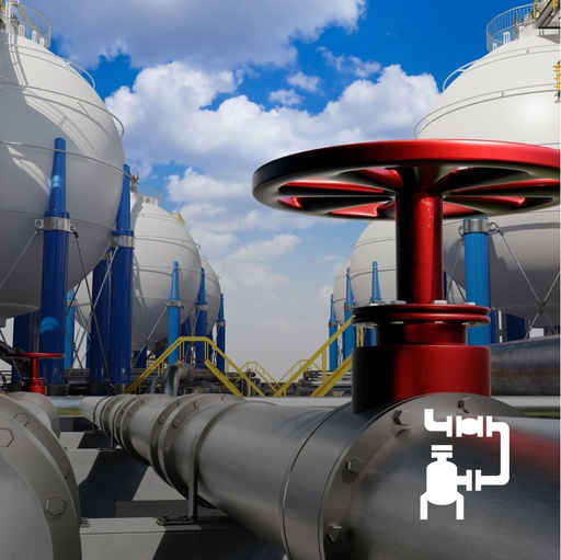 [Web-BL-1003] Phần mềm AutoPIPE Vessel