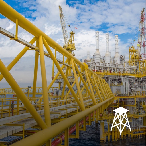 [Web-BL-1072] Phần mềm SACS Pile Structure Design